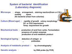 no hemolysis Microscopic Gram positive cocci Catalase