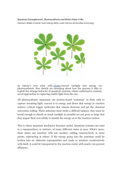 As nature`s own solar cells, plants convert sunlight into