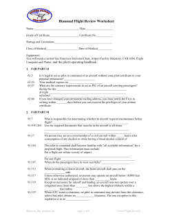 Biannual Flight Review Worksheet