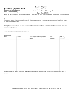 Chapter 8 Photosynthesis