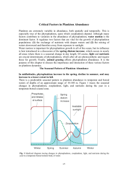 Critical Factors in Plankton Abundance