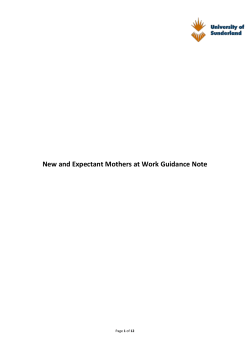 New and Expectant Mothers at Work Guidance Note
