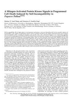 A Mitogen-Activated Protein Kinase Signals to Programmed Cell