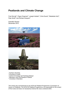 A review of current evidence on carbon fluxes and greenhouse gas