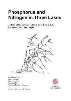 Phosphorus and Nitrogen in Three Lakes