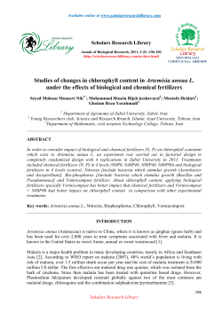 Studies of changes in chlorophyll content in Artemisia annua L