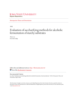 Evaluation of saccharifying methods for alcoholic fermentation of