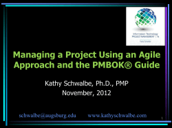 The Magic of IS Project Management: Revealing