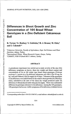 Differences in shoot growth and zinc concentration of 164