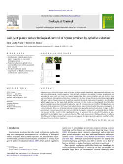 Compact plants reduce biological control of Myzus
