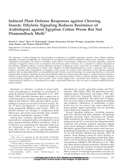Induced Plant Defense Responses against