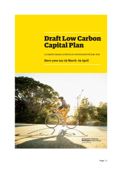 Draft Low Carbon Capital - Wellington City Council