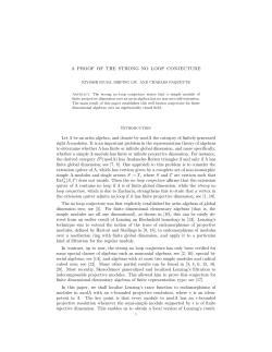 A proof of the strong no loop conjecture