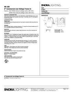 NH-300 8" Commercial Line Voltage Frame-In