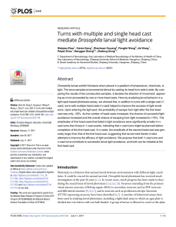 Turns with multiple and single head cast mediate Drosophila