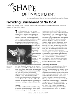 Providing Enrichment at No Cost