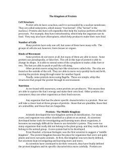 Kingdom of Protists File
