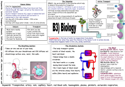 Biology3_summary