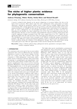 The niche of higher plants: evidence for phylogenetic