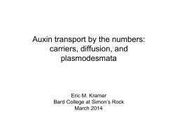 Auxin transport by the numbers: carriers, diffusion, and