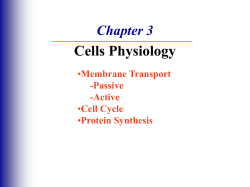 Ch 3 Cell Physiology