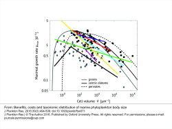 Benefits, costs and taxonomic distribution of marine phytoplankton