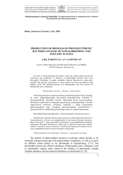 production of biomass of photosynthetic bacteria on base of stock