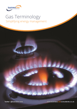 Gas Terminology - Business Cost Consultants