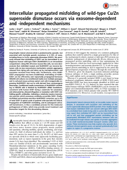 Intercellular propagated misfolding of wild-type Cu/Zn