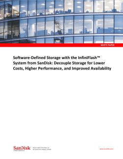 Software-Defined Storage with the InfiniFlash&trade; System
