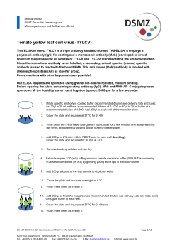 Tomato yellow leaf curl virus (TYLCV)