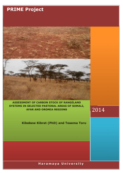 assessment of carbon stock of rangeland systems