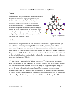 Fluorescence and Phosphorescence of Erythrosin