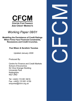 Modelling the Persistence of Credit Ratings When Firms Face