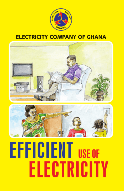 Efficient Use of Electricity