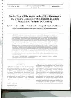 Production within dense mats of the filamentous macroalga