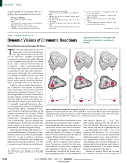 Dynamic Visions of Enzymatic Reactions