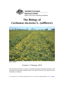 safflower - Office of the Gene Technology Regulator