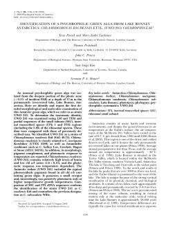 identification of a psychrophilic green alga from lake bonney