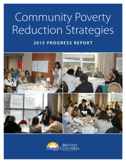 Community Poverty Reduction Strategies