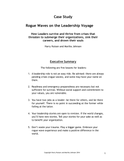 Case Study Rogue Waves on the Leadership