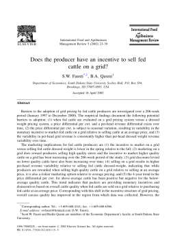 Does the producer have an incentive to sell fed cattle on a grid?