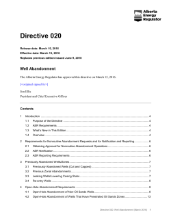 Directive 020: Well Abandonment