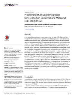 Programmed Cell Death Progresses Differentially in Epidermal and