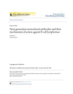 Next generation monoclonal antibodies and their mechanisms of