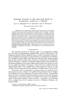 NITROGEN FIXATION IN THE CORALLOID ROOTS OF