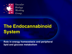 CB 1 receptor blockade