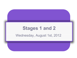 Stage 1: Step 5
