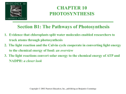 Photosystem II