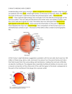 3 WHAT`S WRONG WITH COREY? Understanding what goes wrong